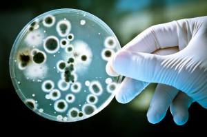iStock_000011861815Small
