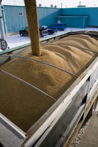 truck feed laden